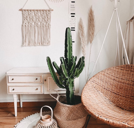 Summer 2019 interior trend edit