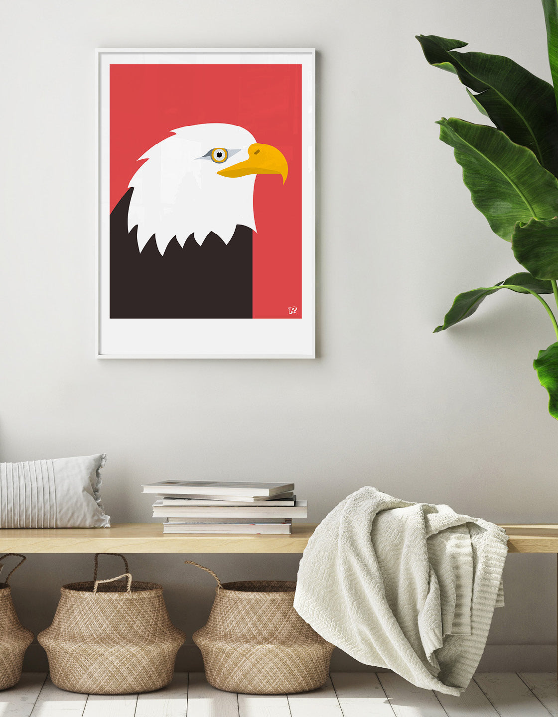 Bald eagle