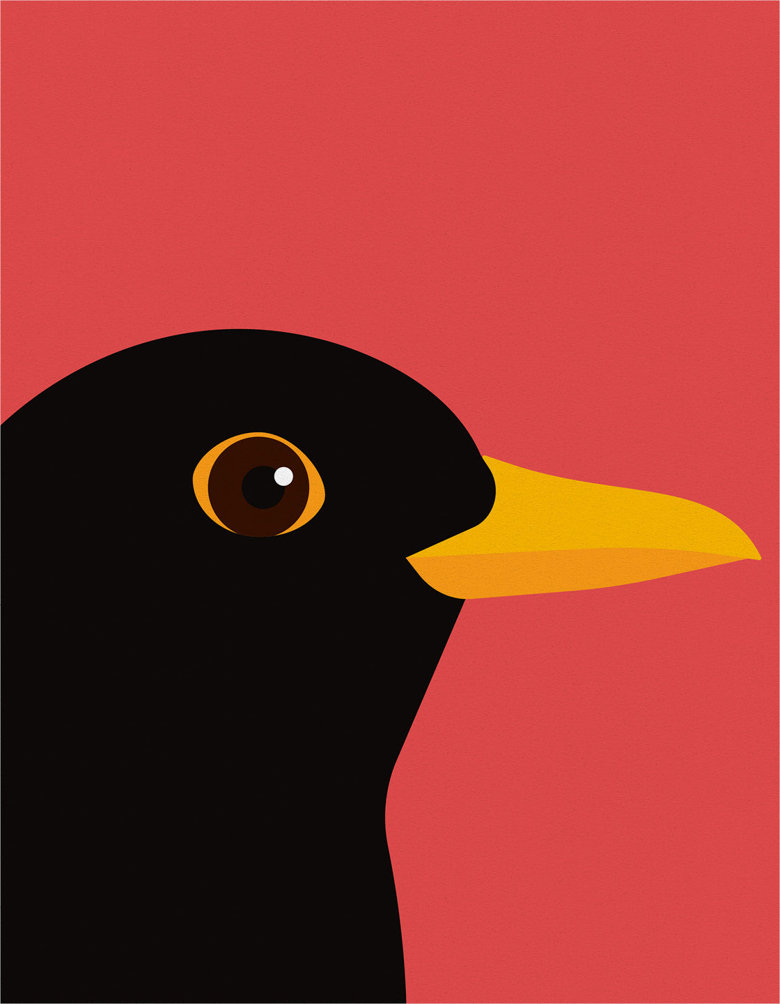 Blackbird