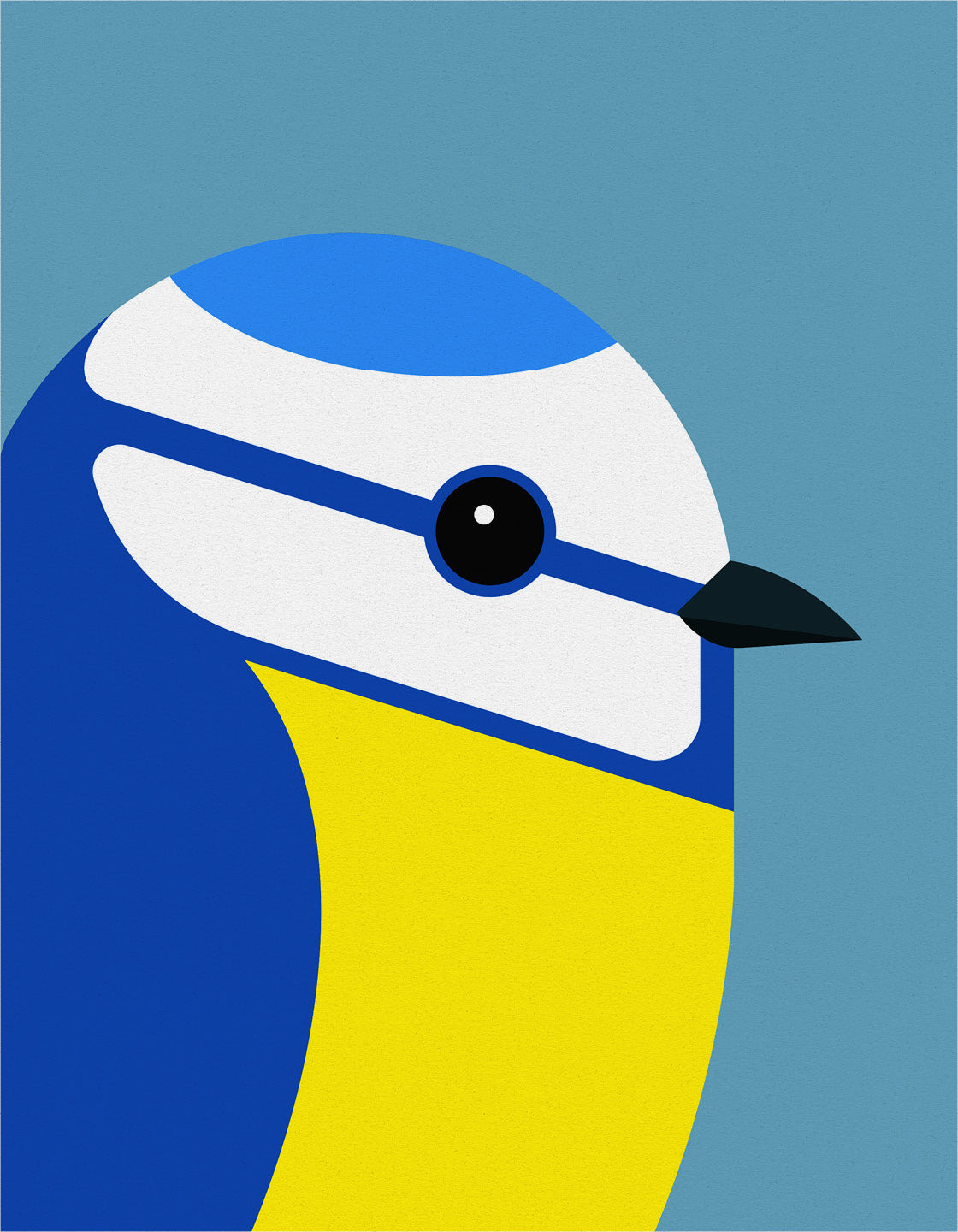 Blue Tit
