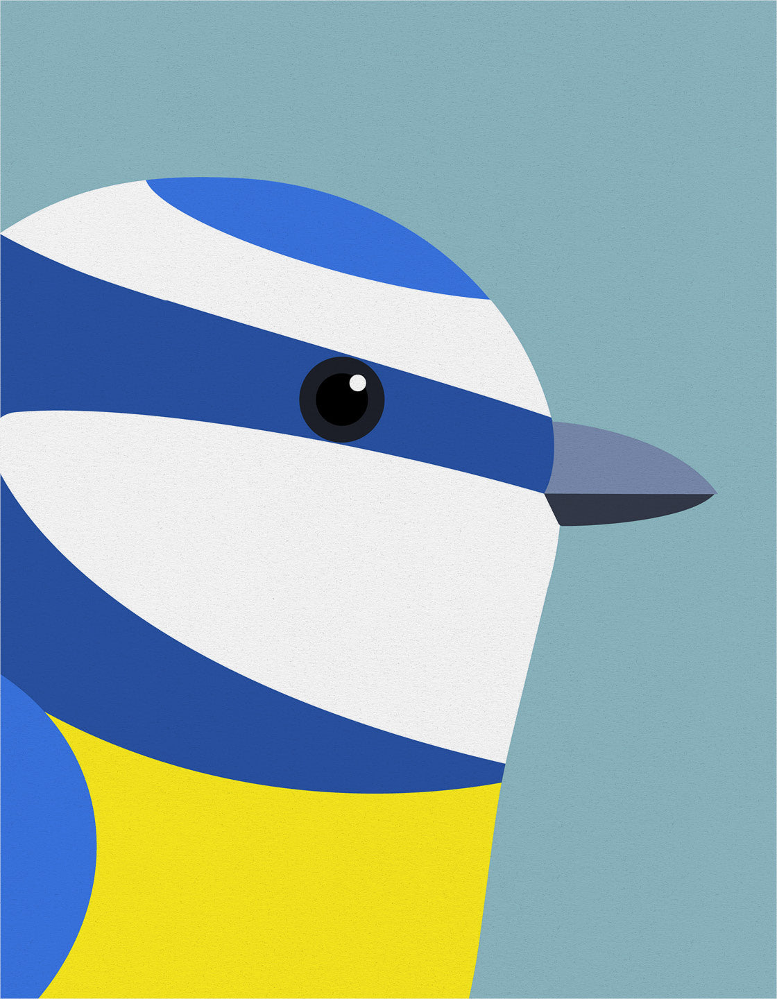 Blue Tit II