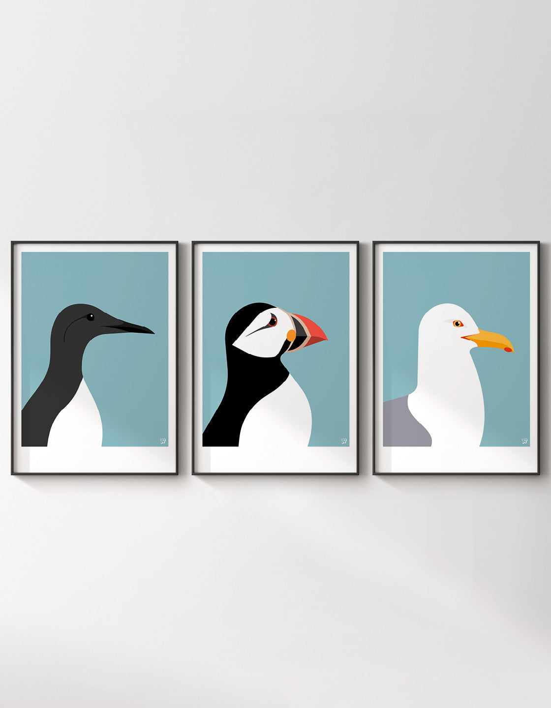 Coastal bird set