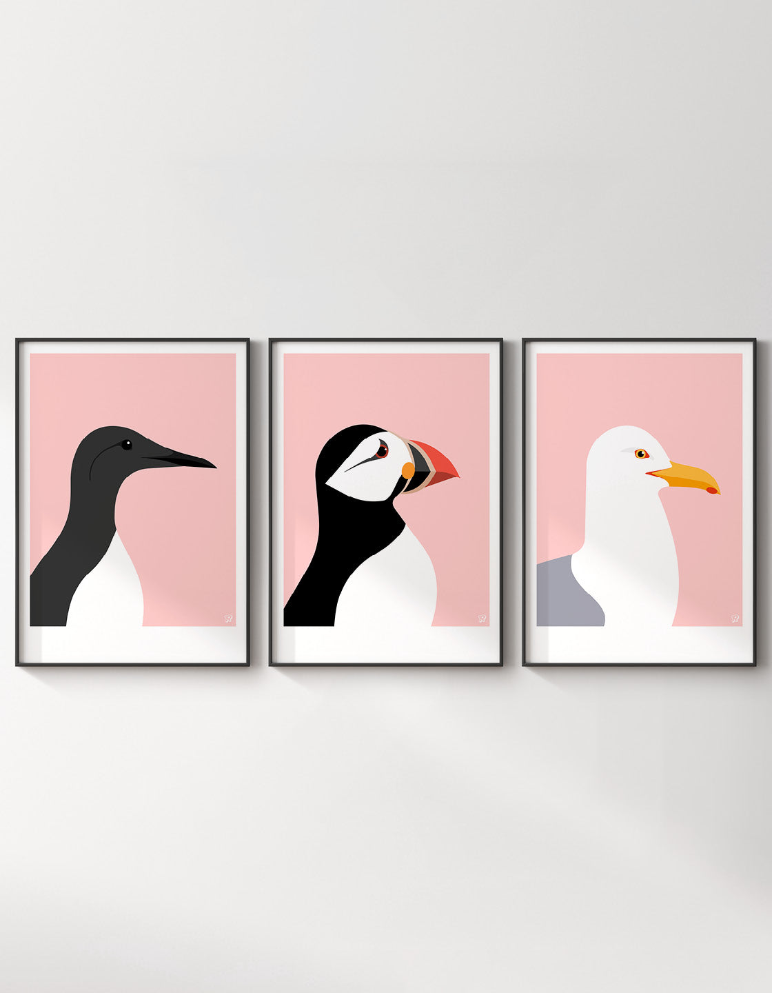 Coastal bird set