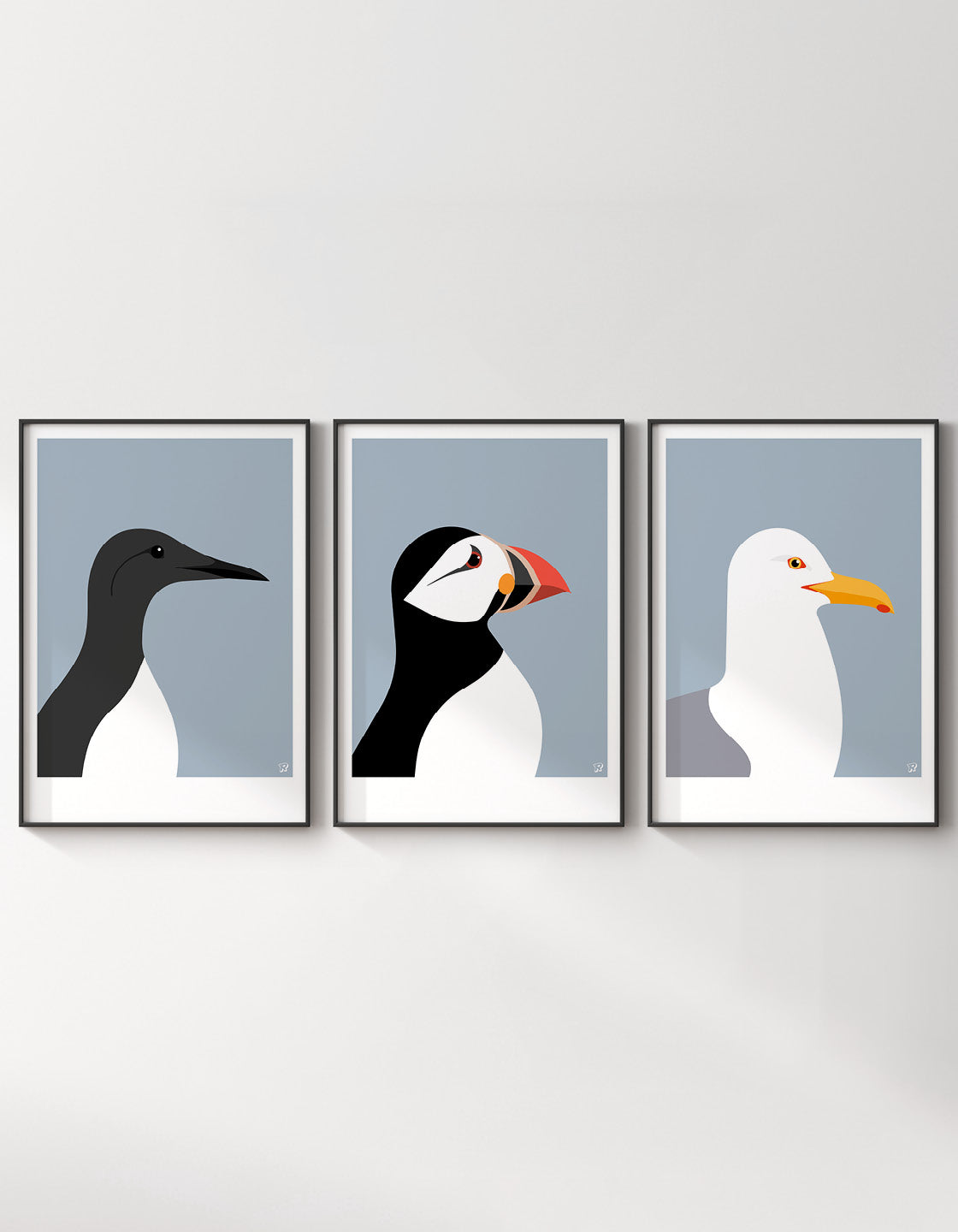 Coastal bird set