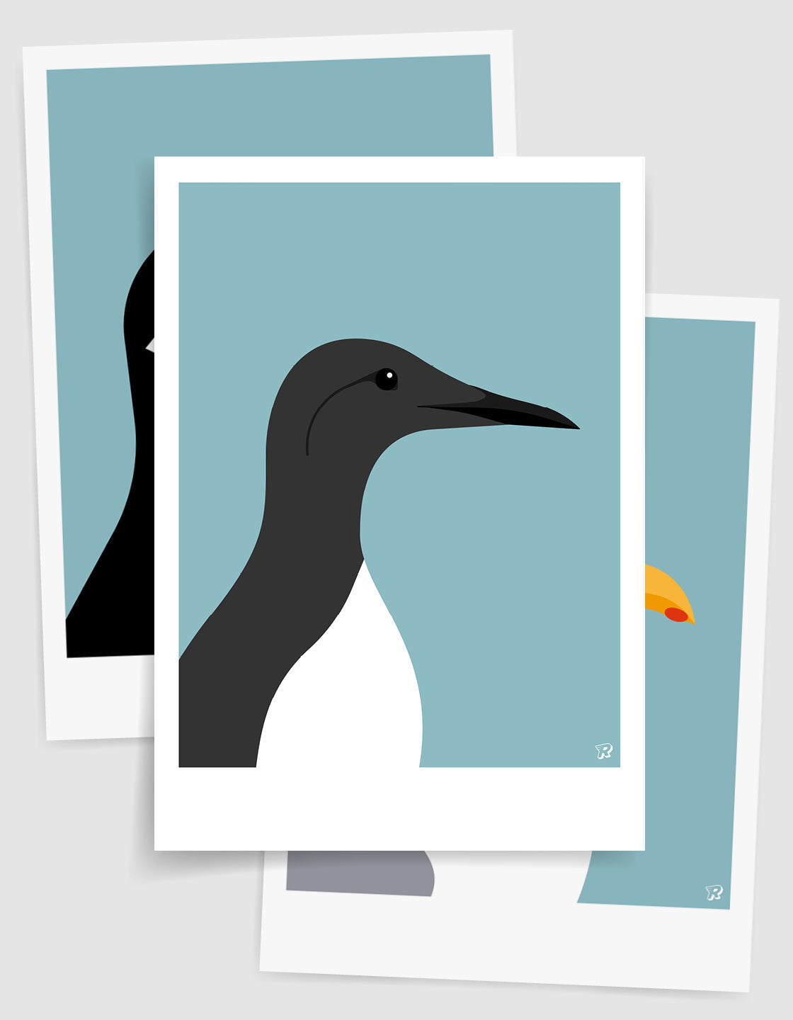 Coastal bird set