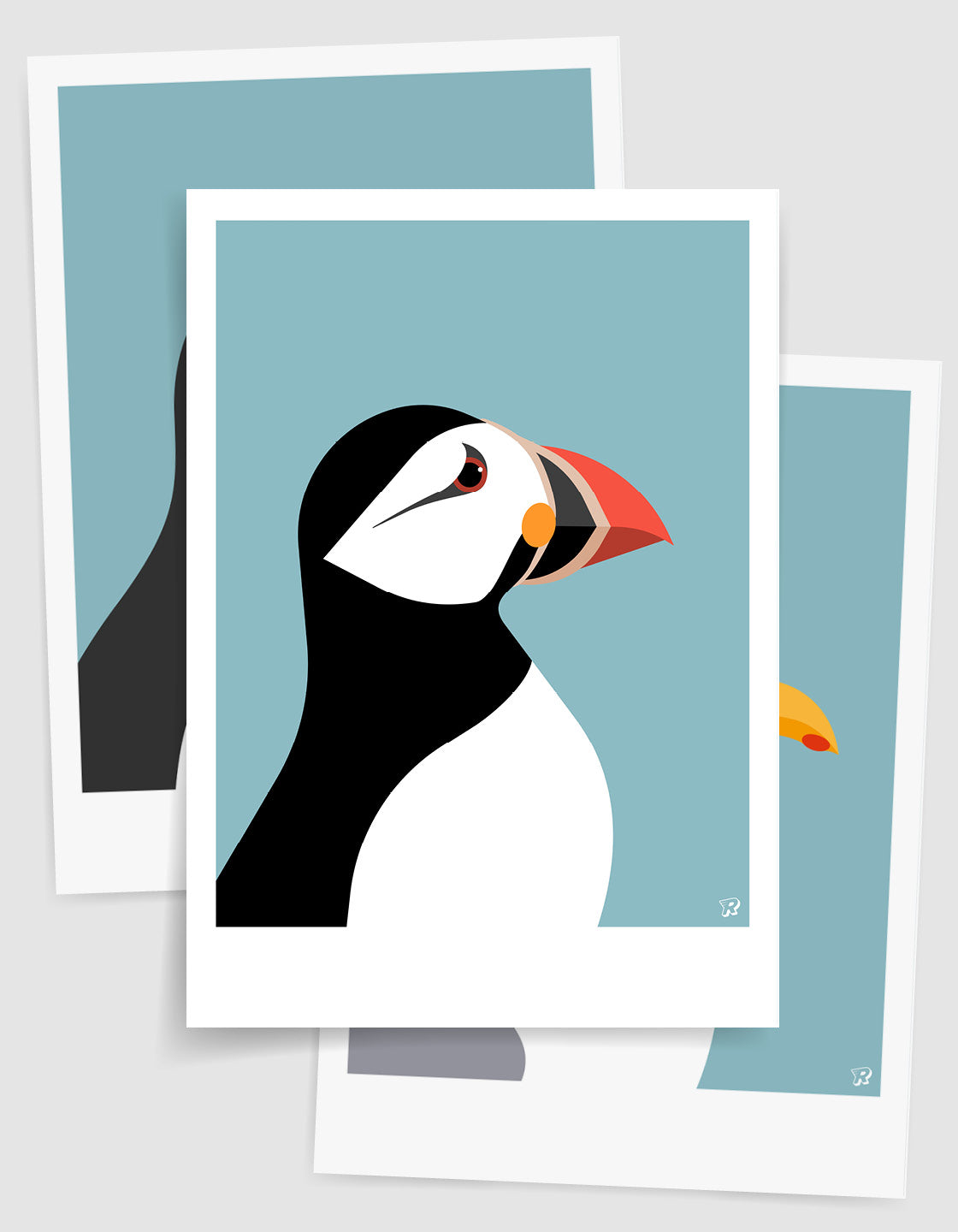 Coastal bird set