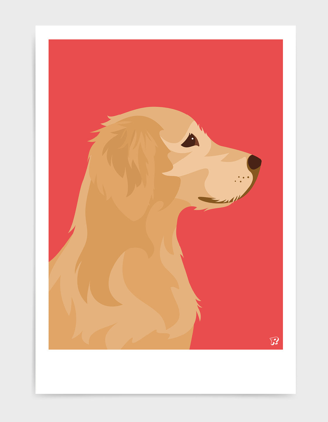 Golden retriever