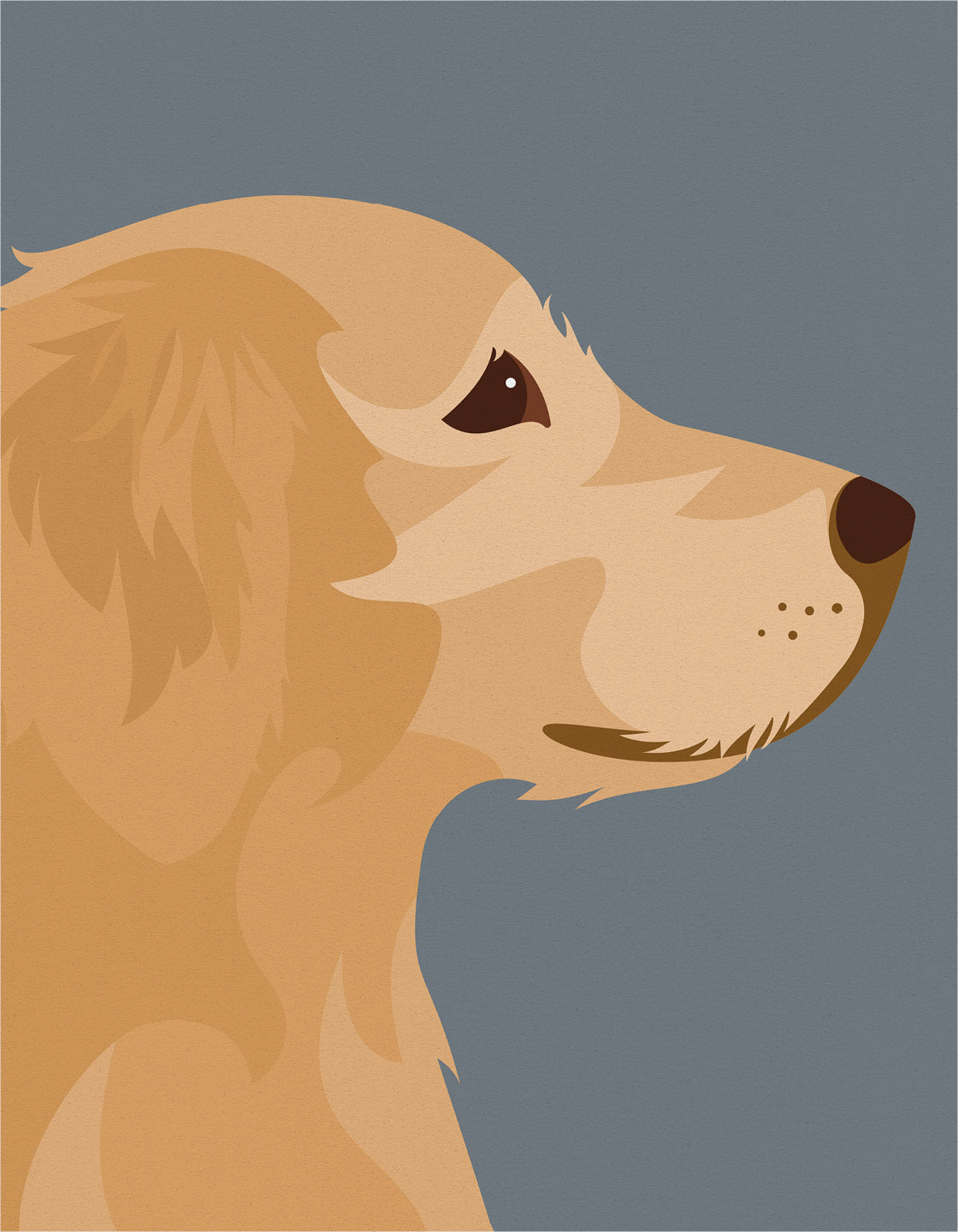 Golden retriever