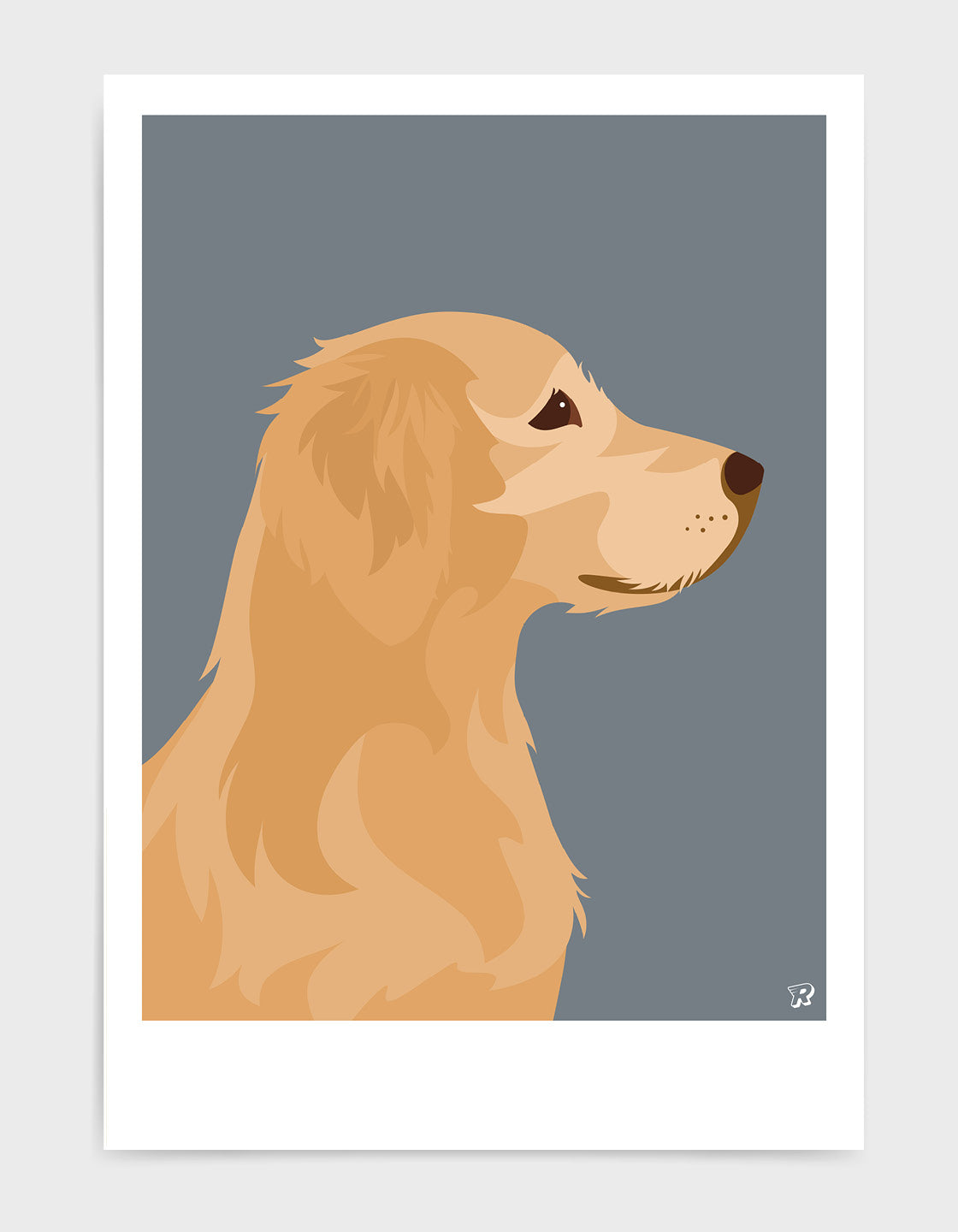 Golden retriever