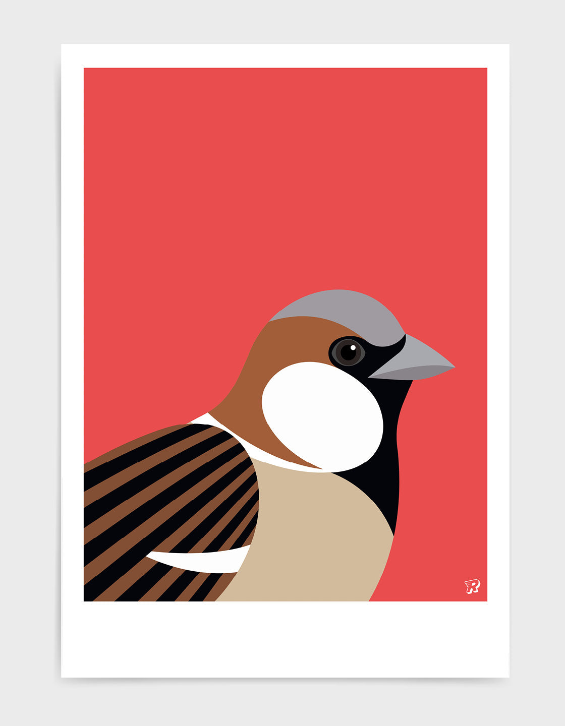 Sparrow