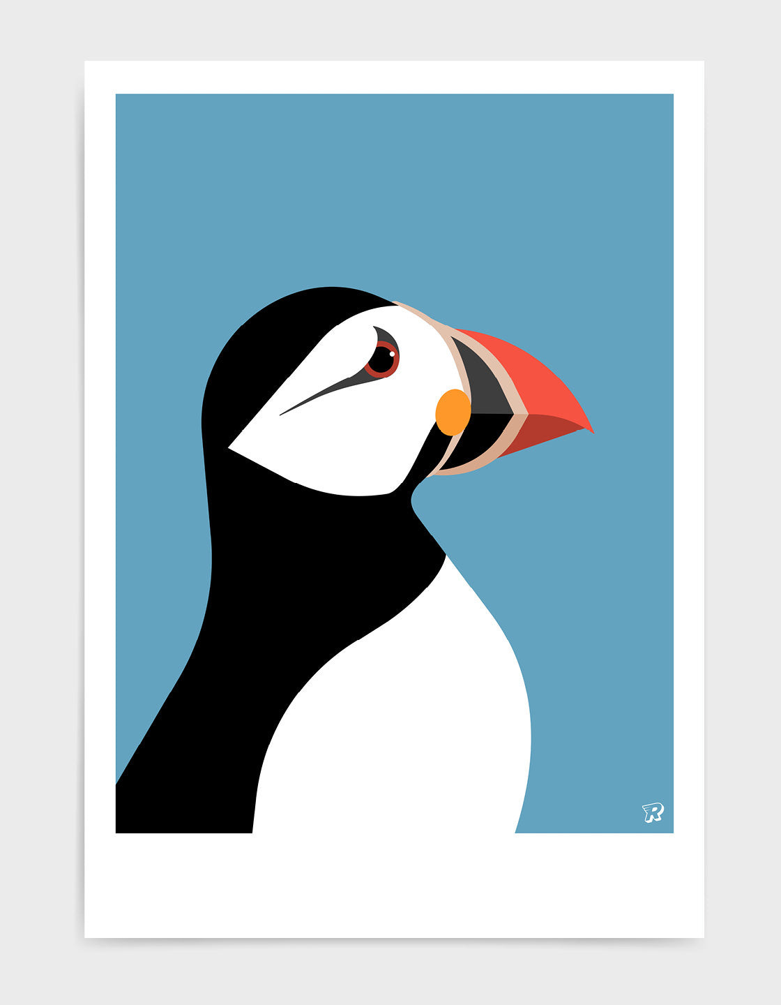 Puffin