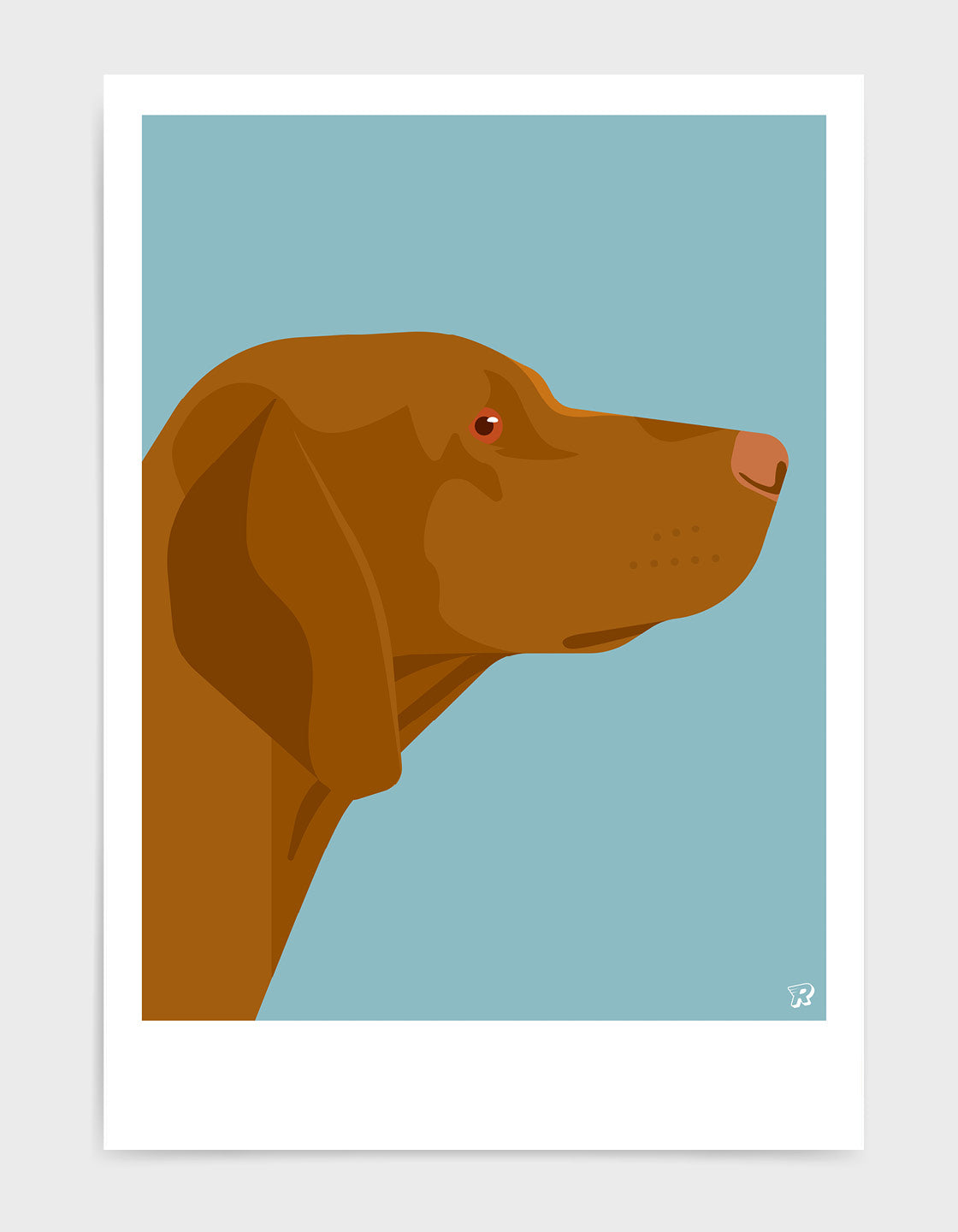 Vizsla