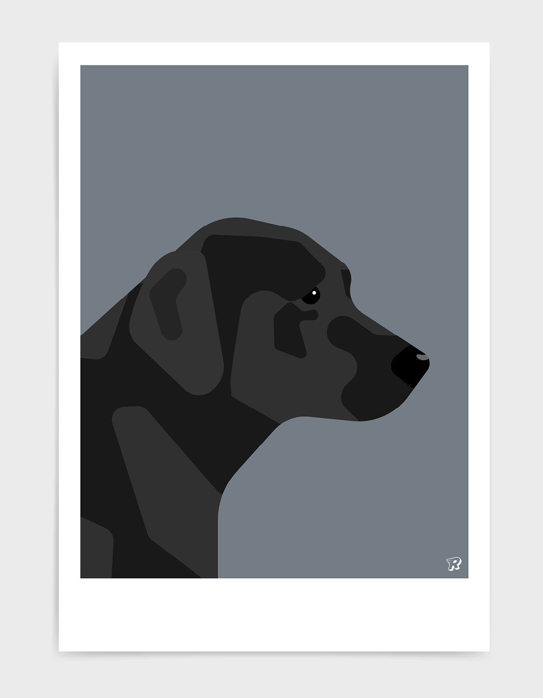 Black labrador