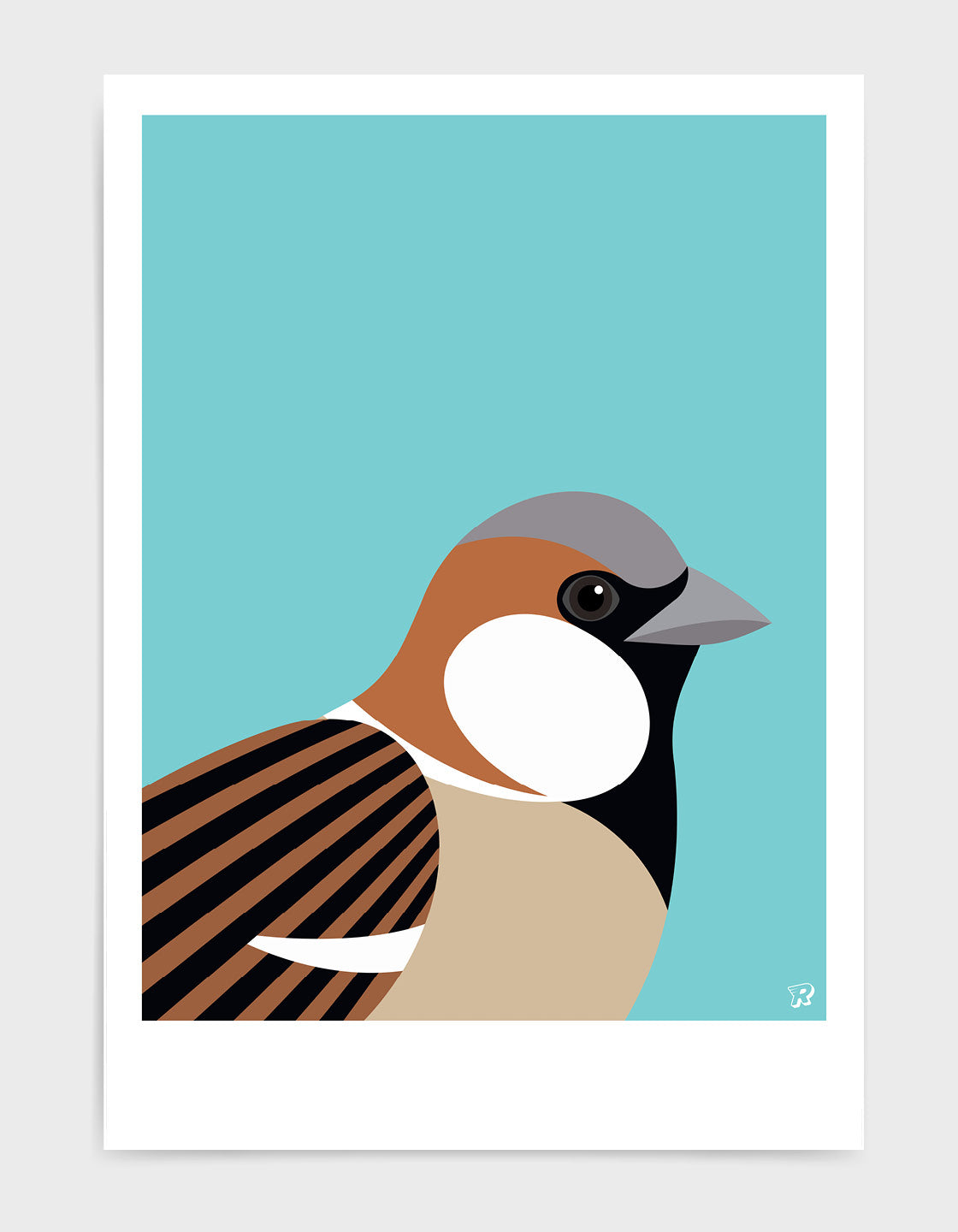 Sparrow