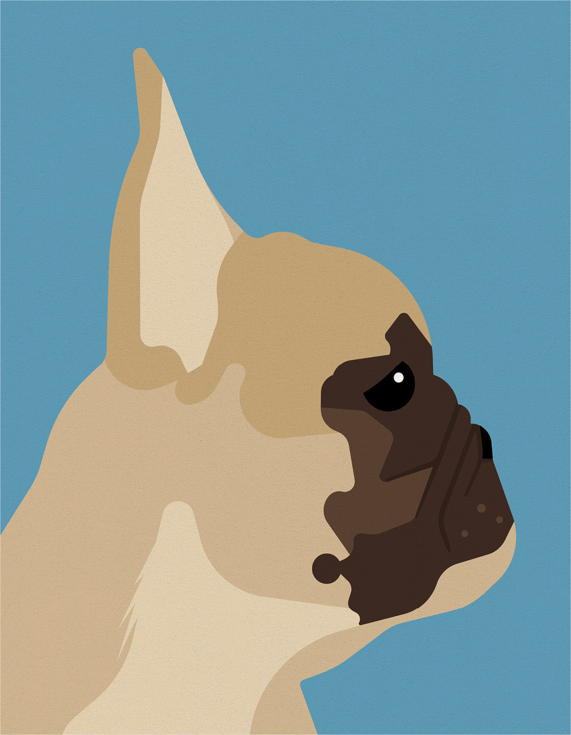 French bulldog