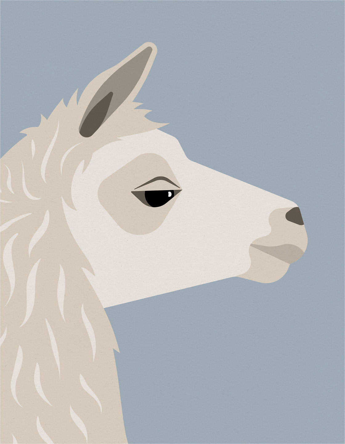 Llama