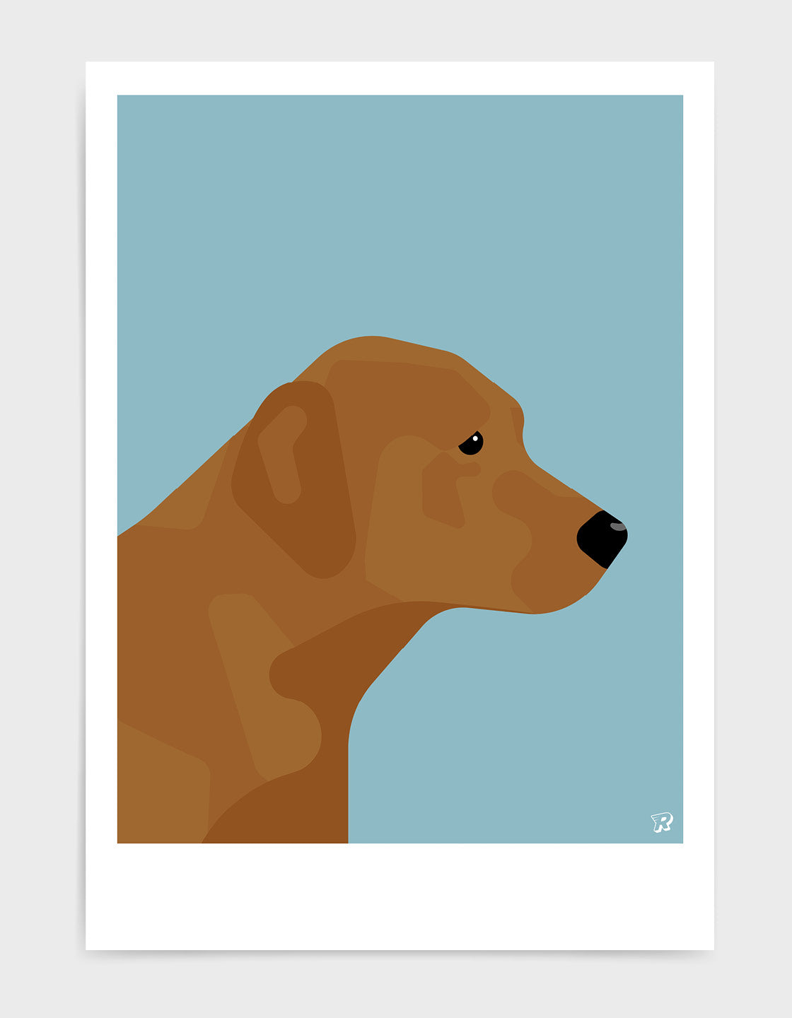 Fox red labrador