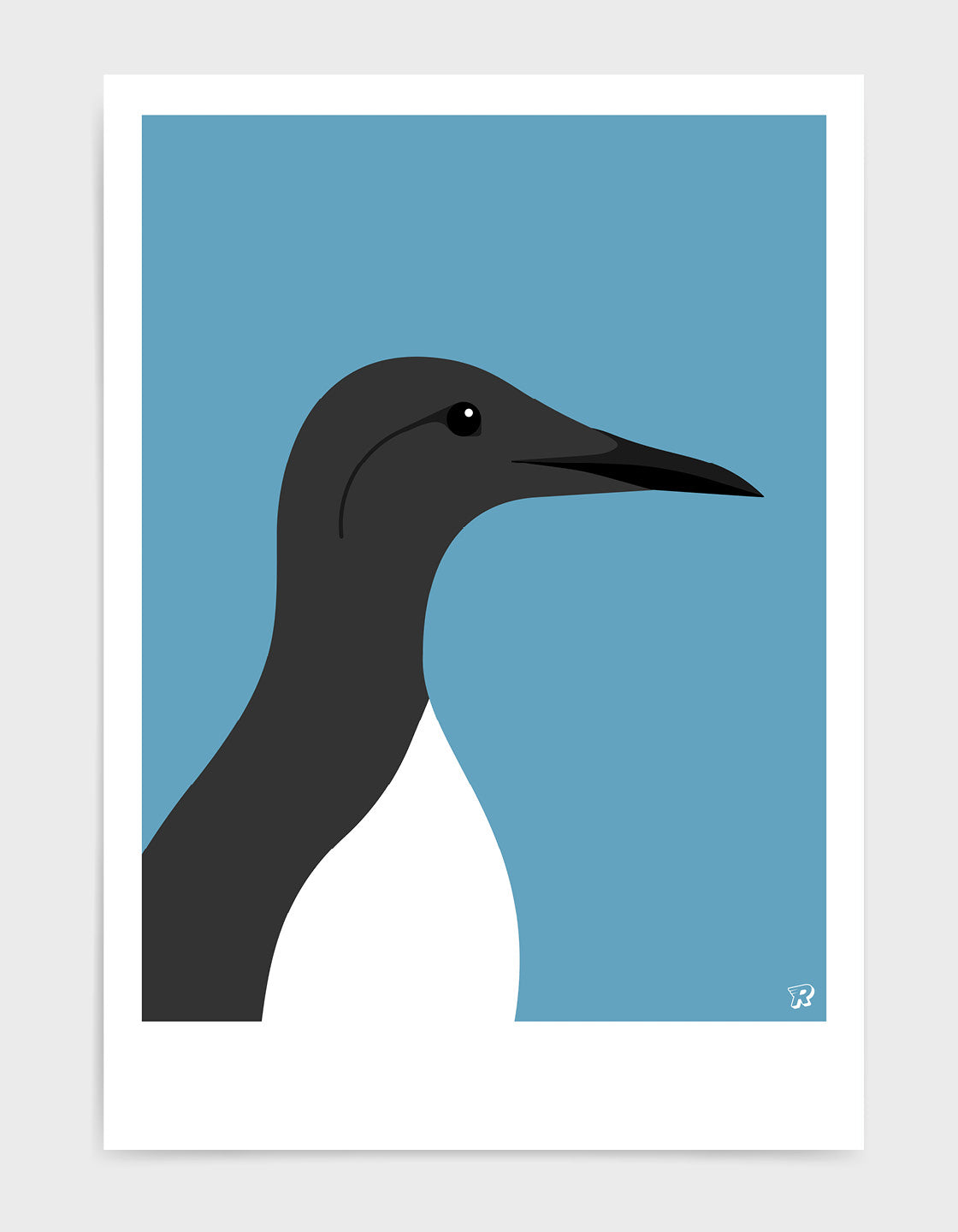 Guillemot