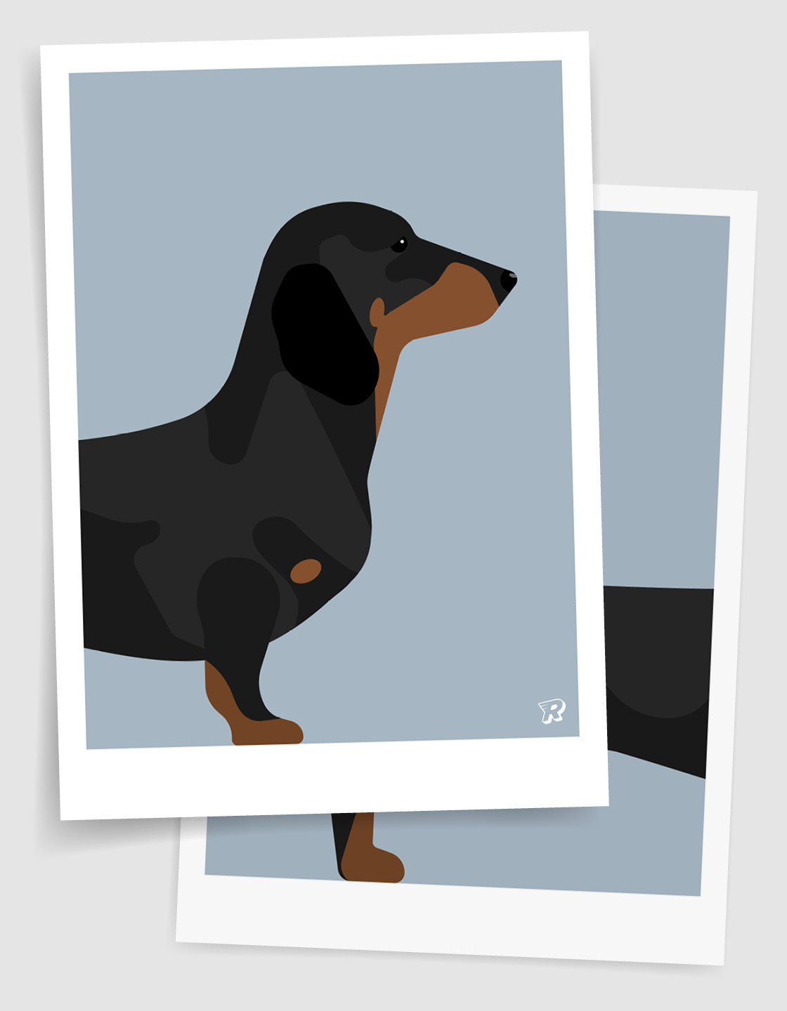 Sausage dog pair