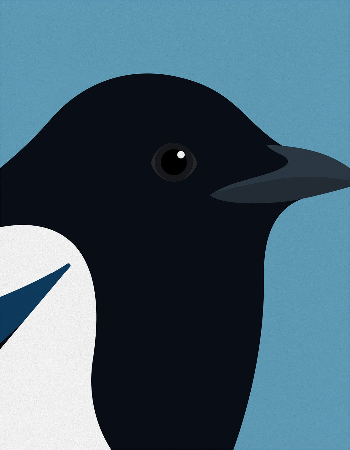 Magpie