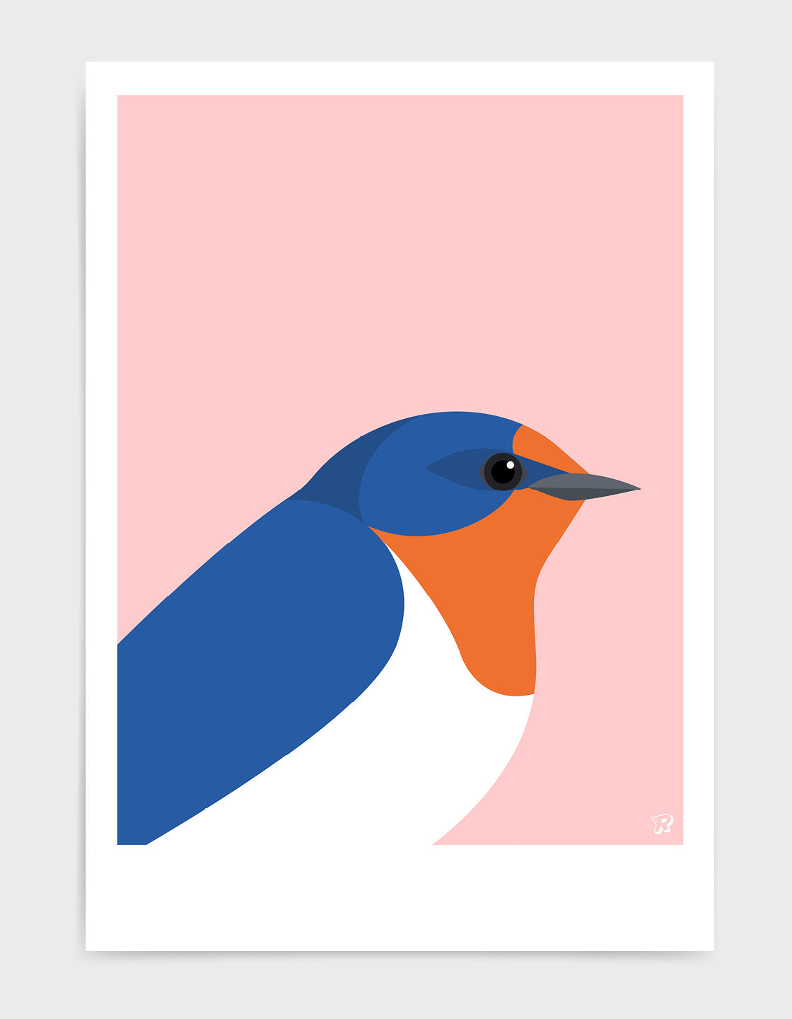 Swallow
