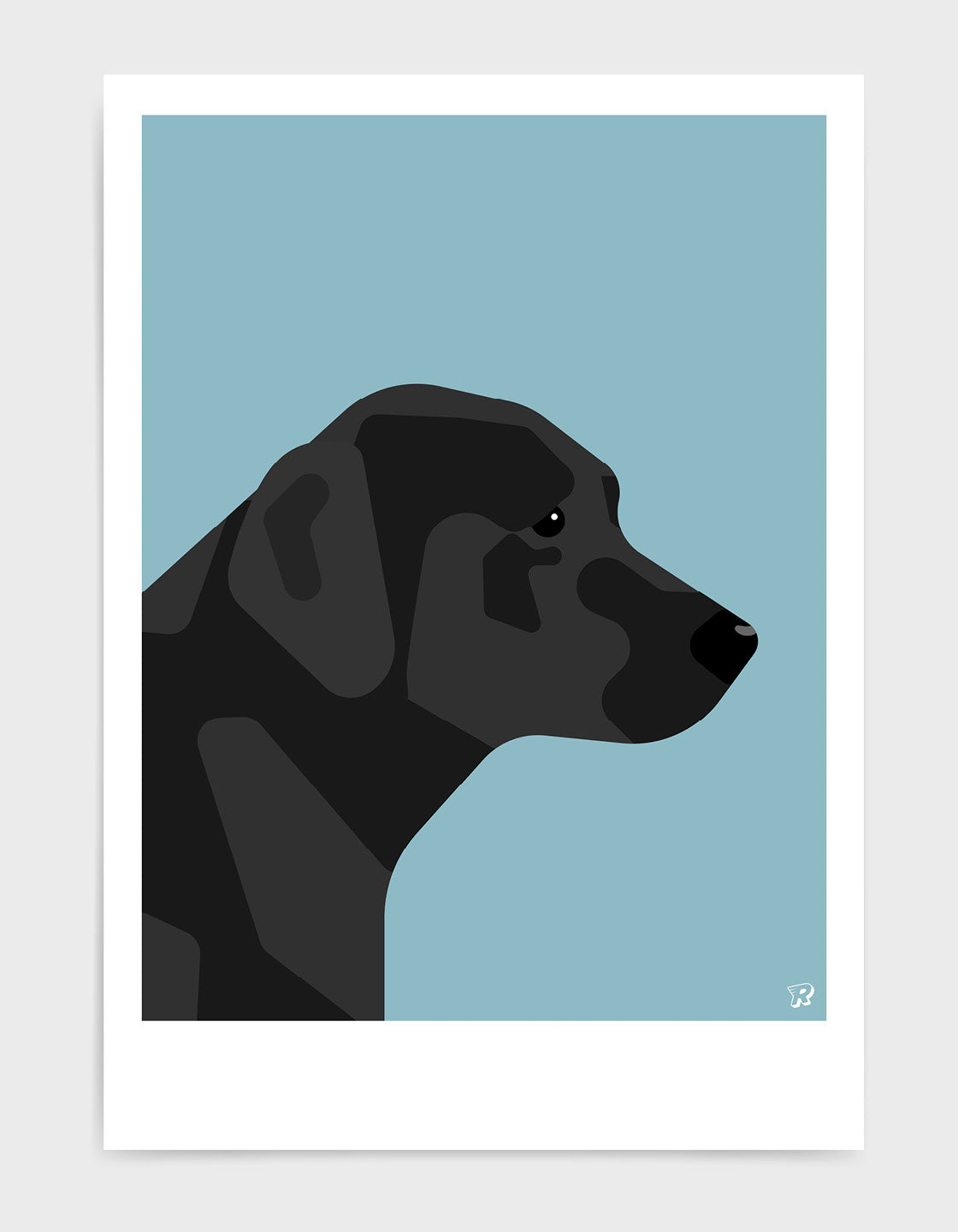 Black labrador
