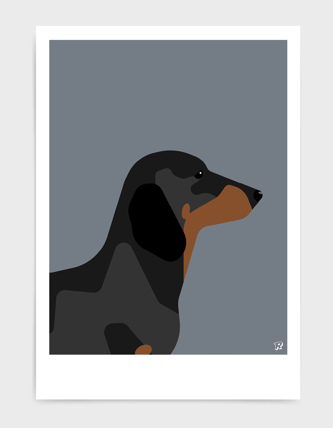 Dachshund