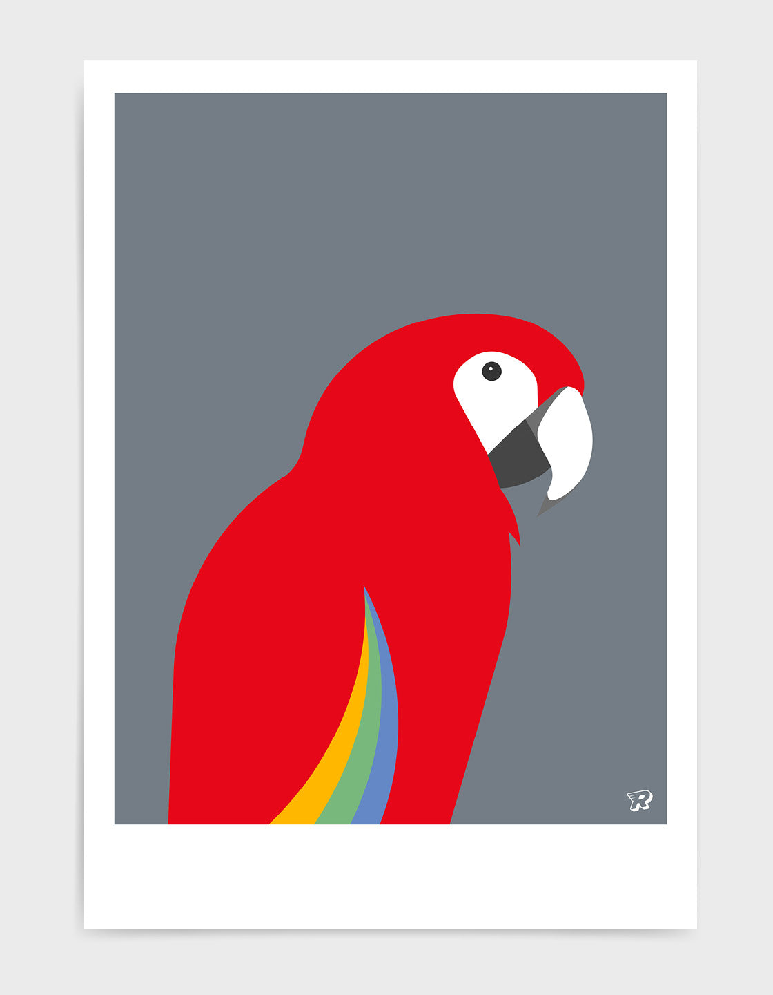 Parrot