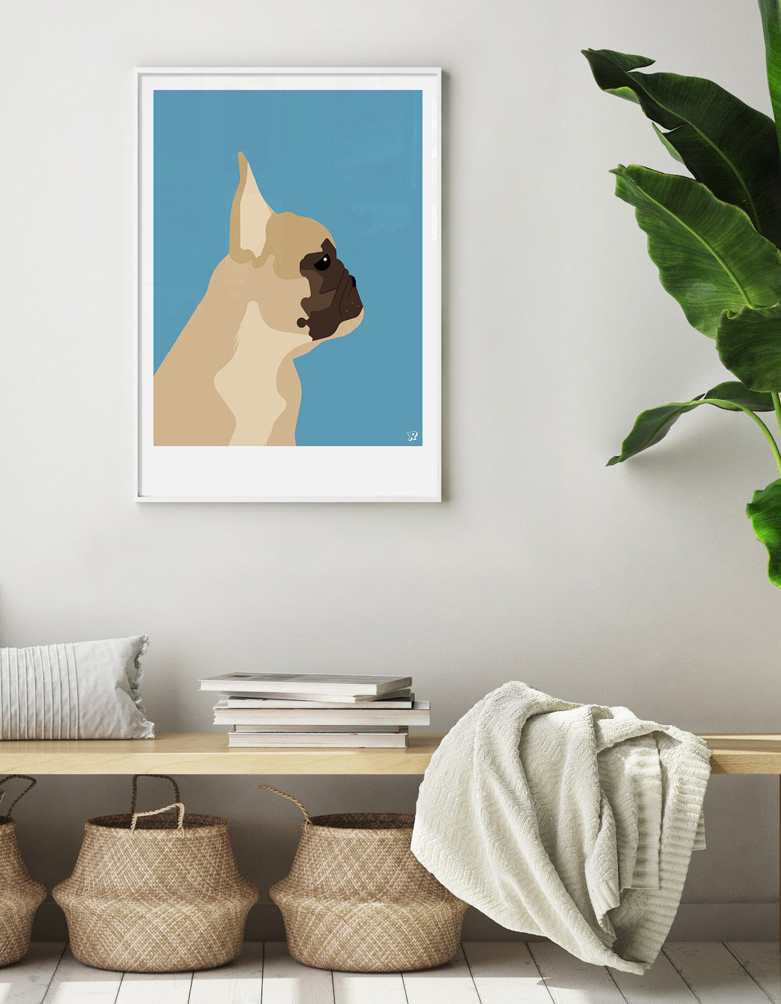French bulldog