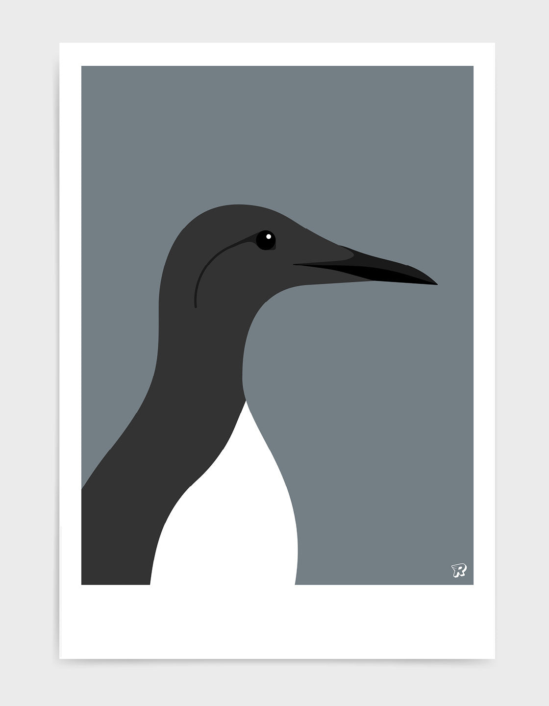 Guillemot