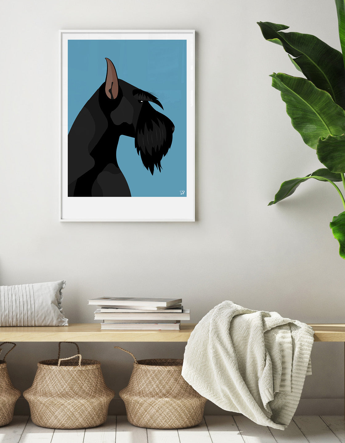 Giant schnauzer