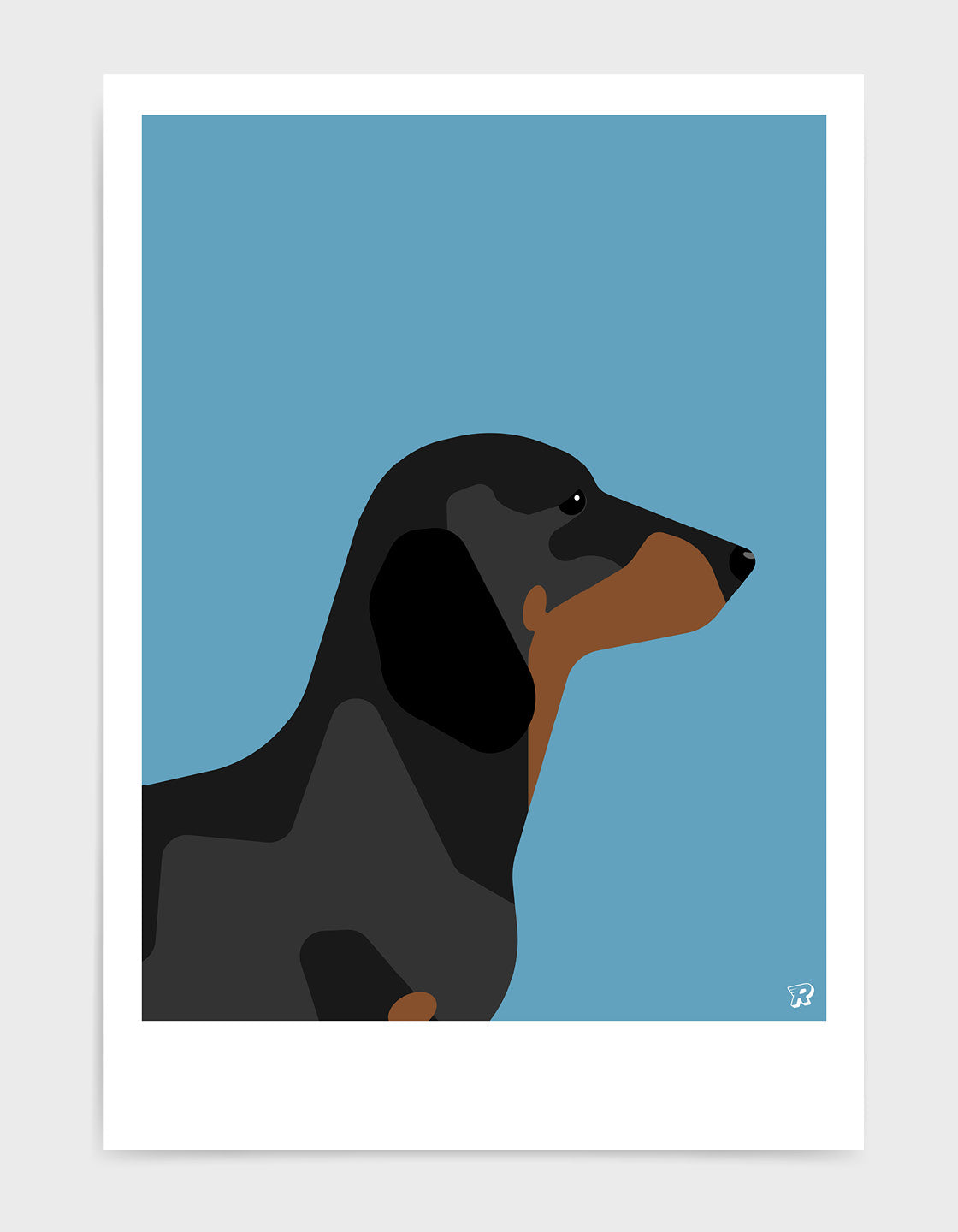 Dachshund