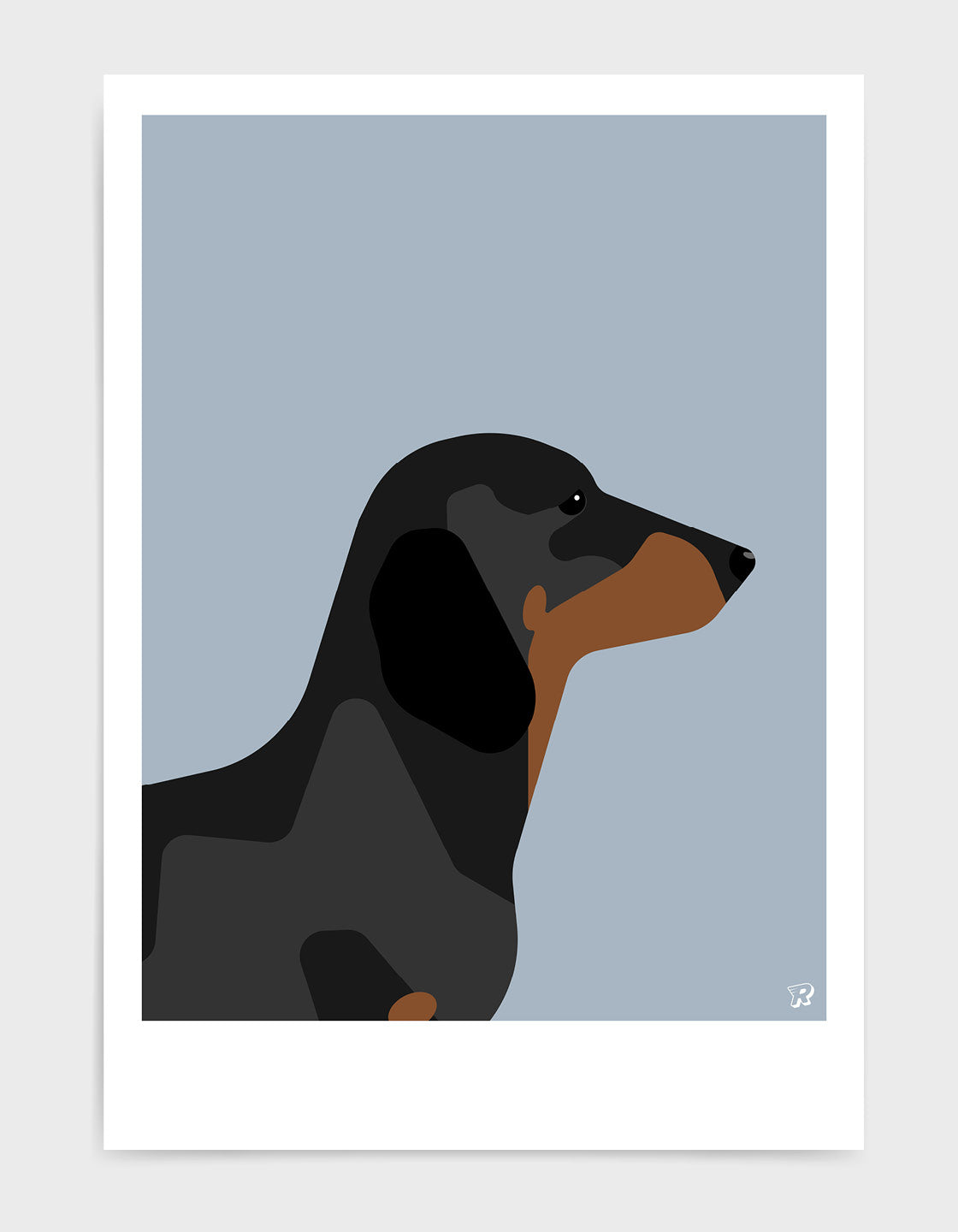 Dachshund