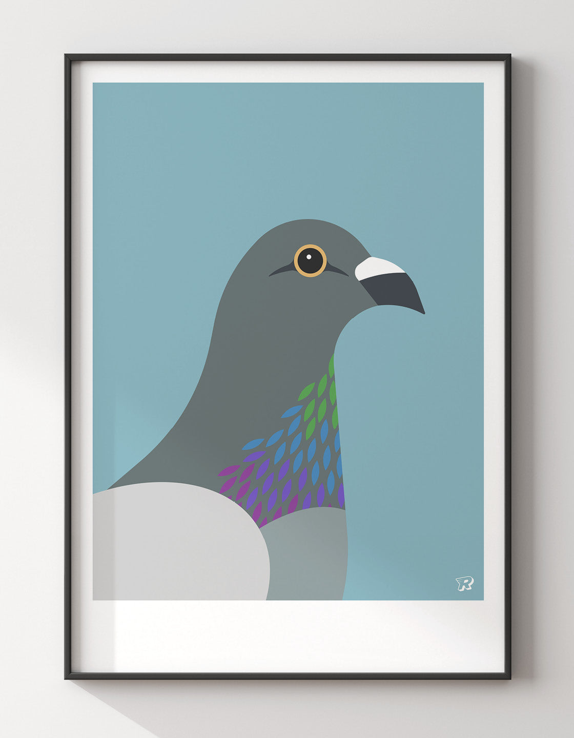 Pigeon