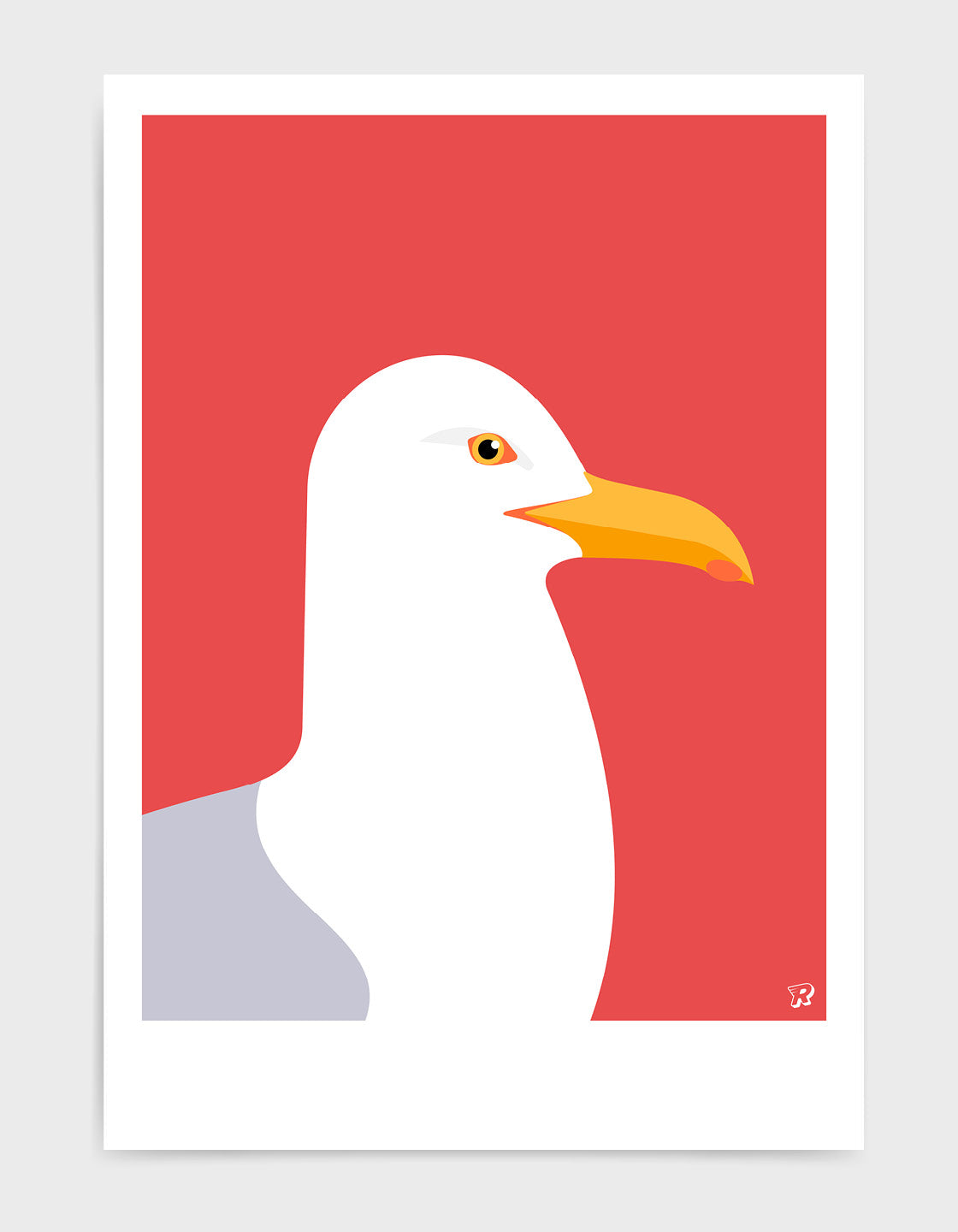 Herring Gull