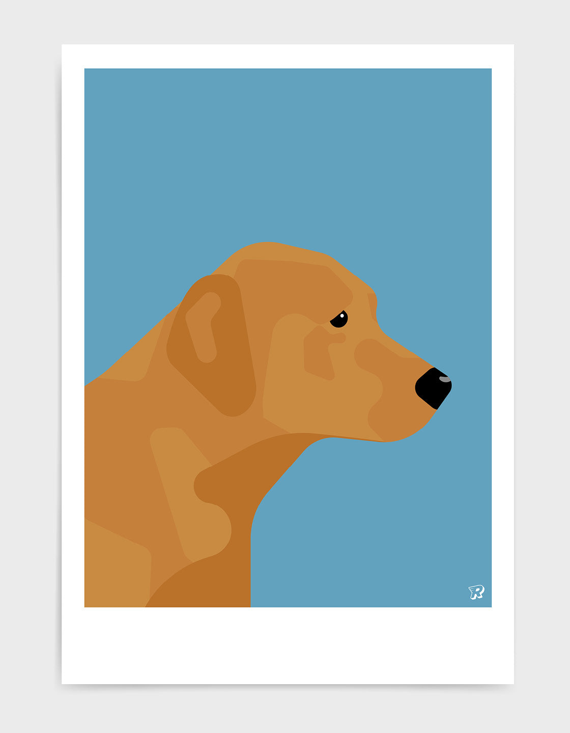 Fox red labrador