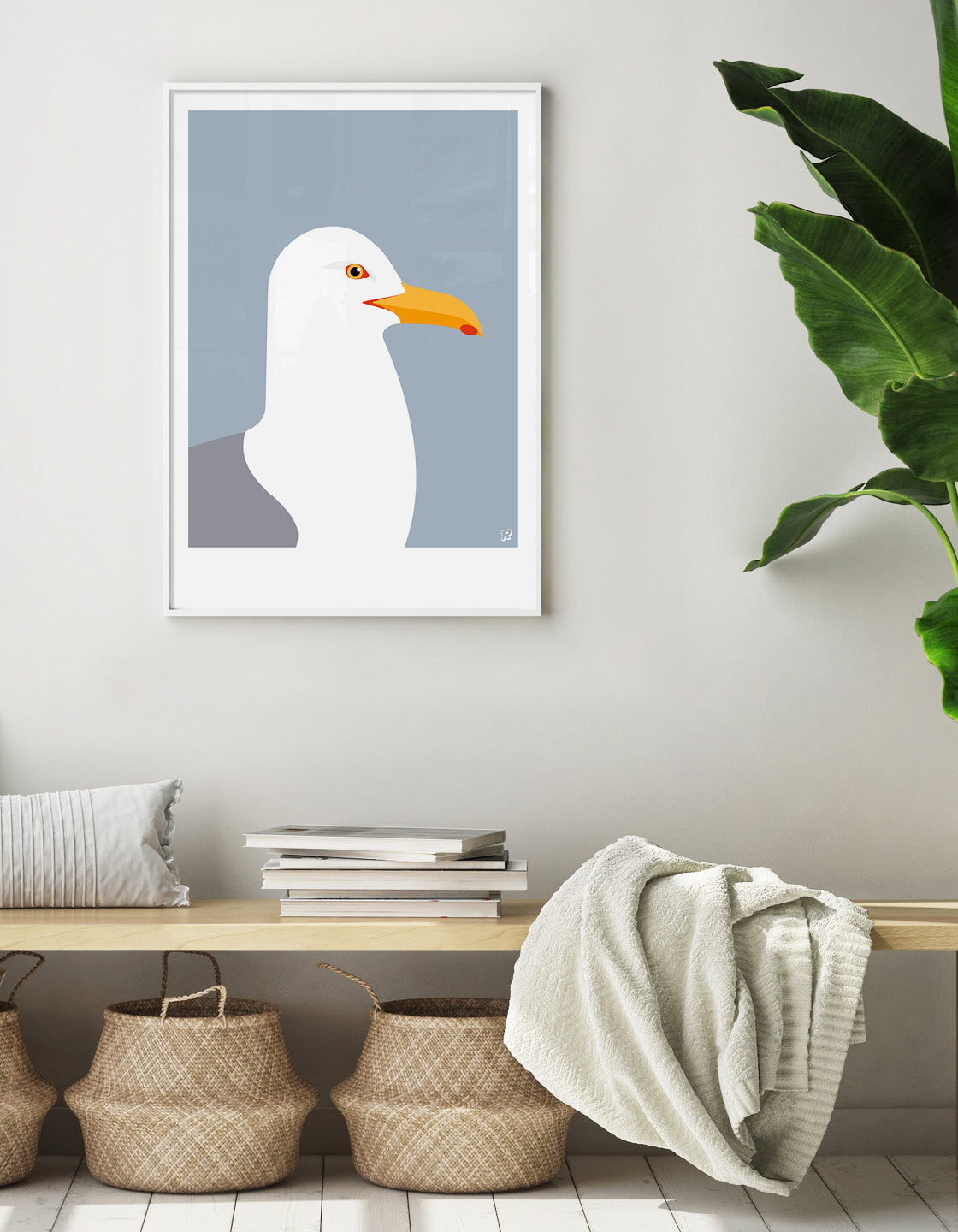 Herring Gull