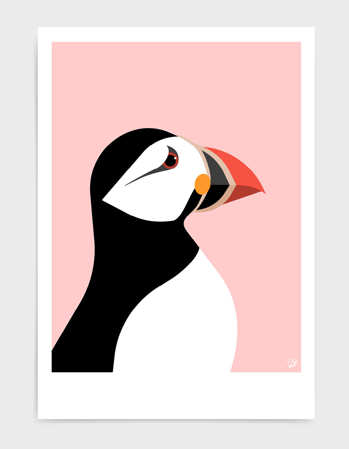 Puffin