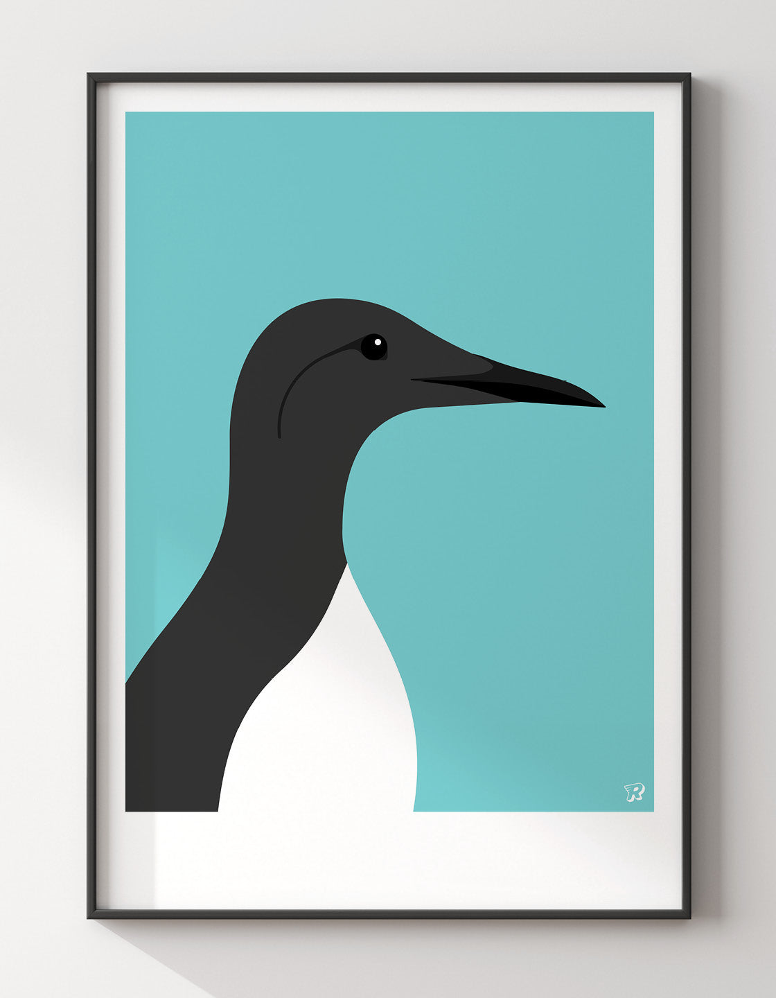 Guillemot