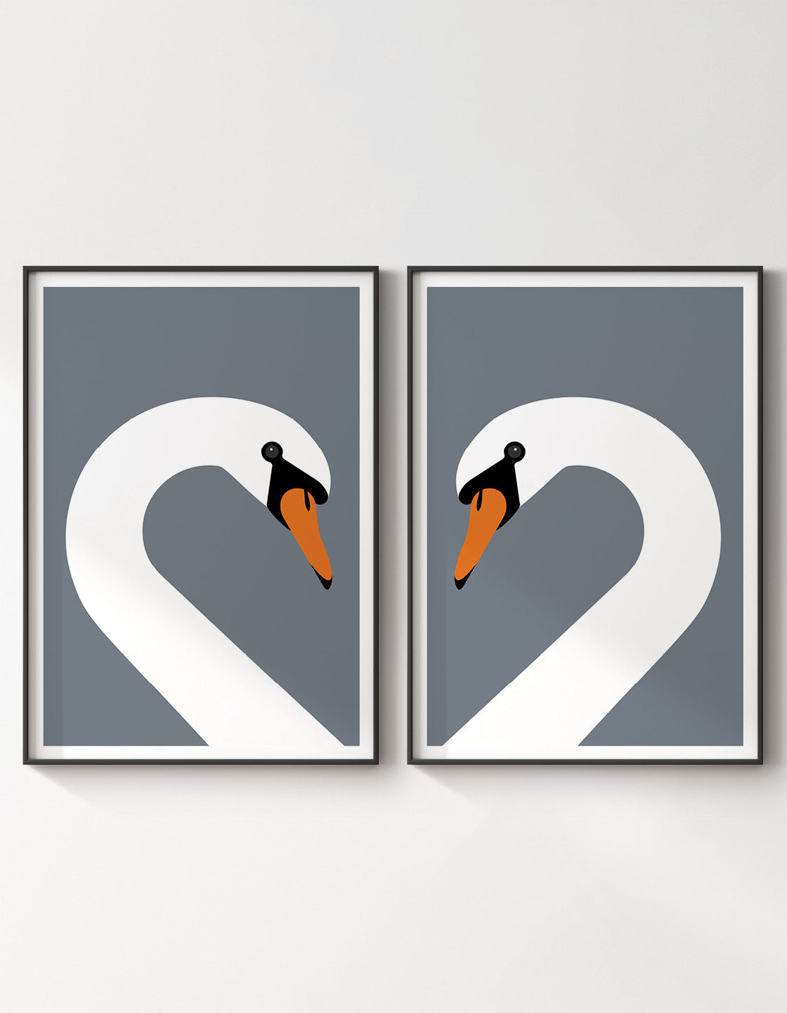 Swan pair