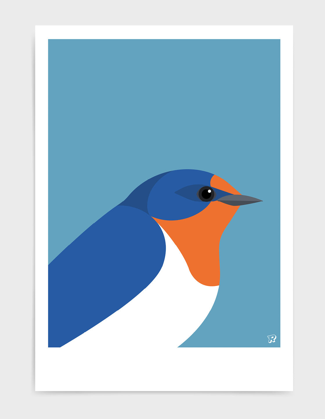 Swallow