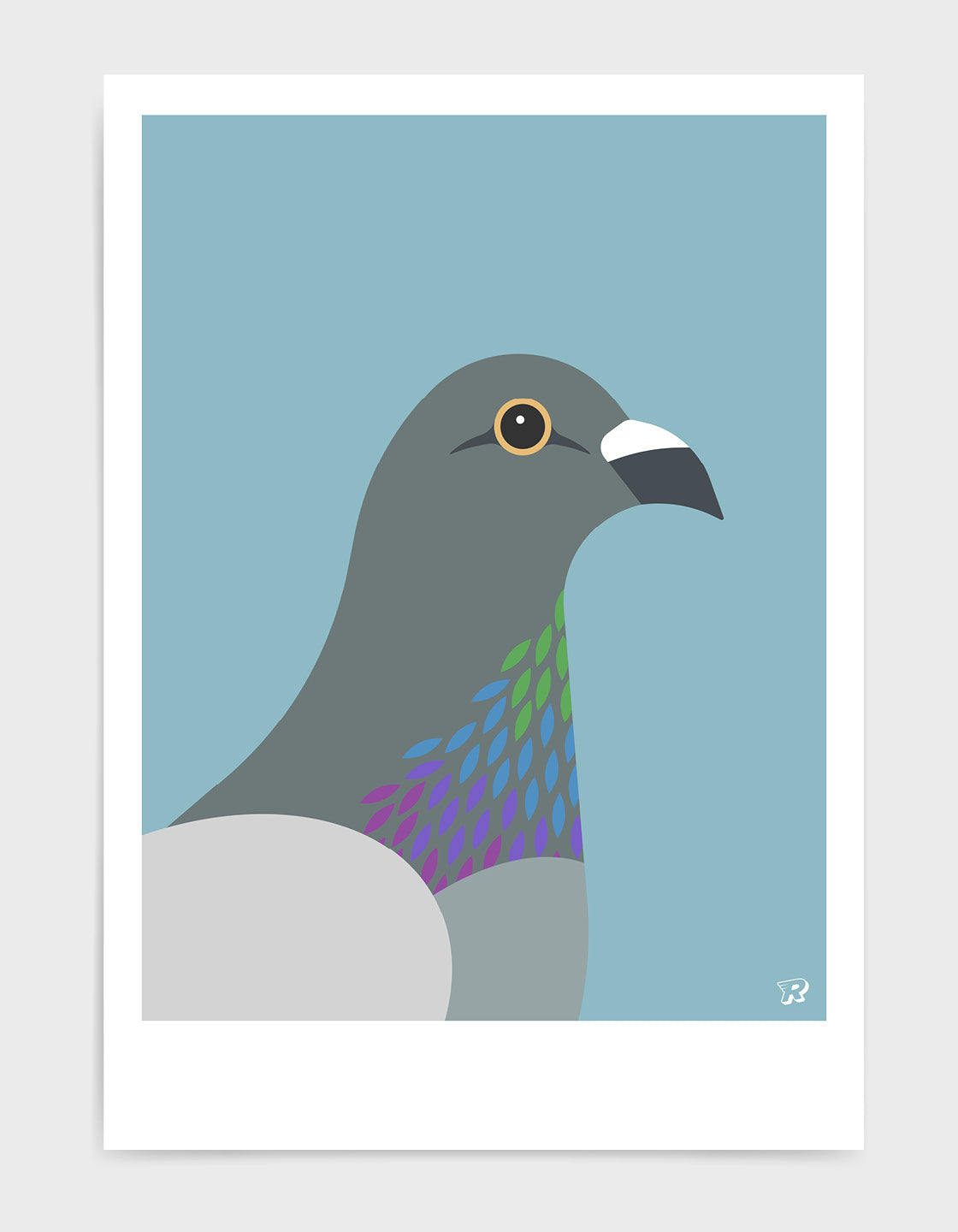 Pigeon