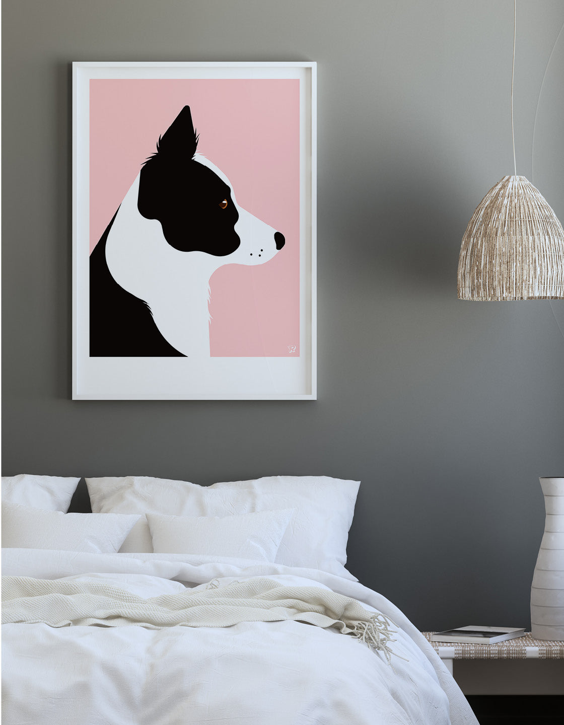 Border collie