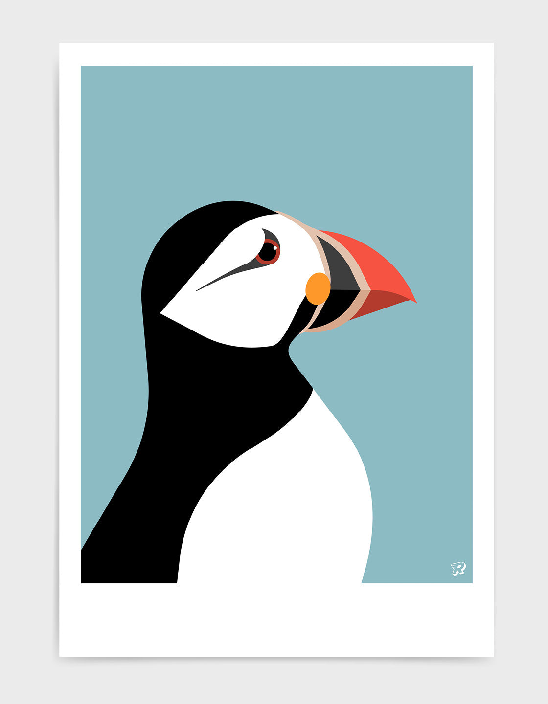 Puffin