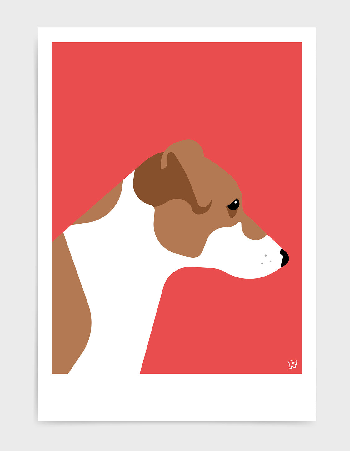 Jack russell terrier