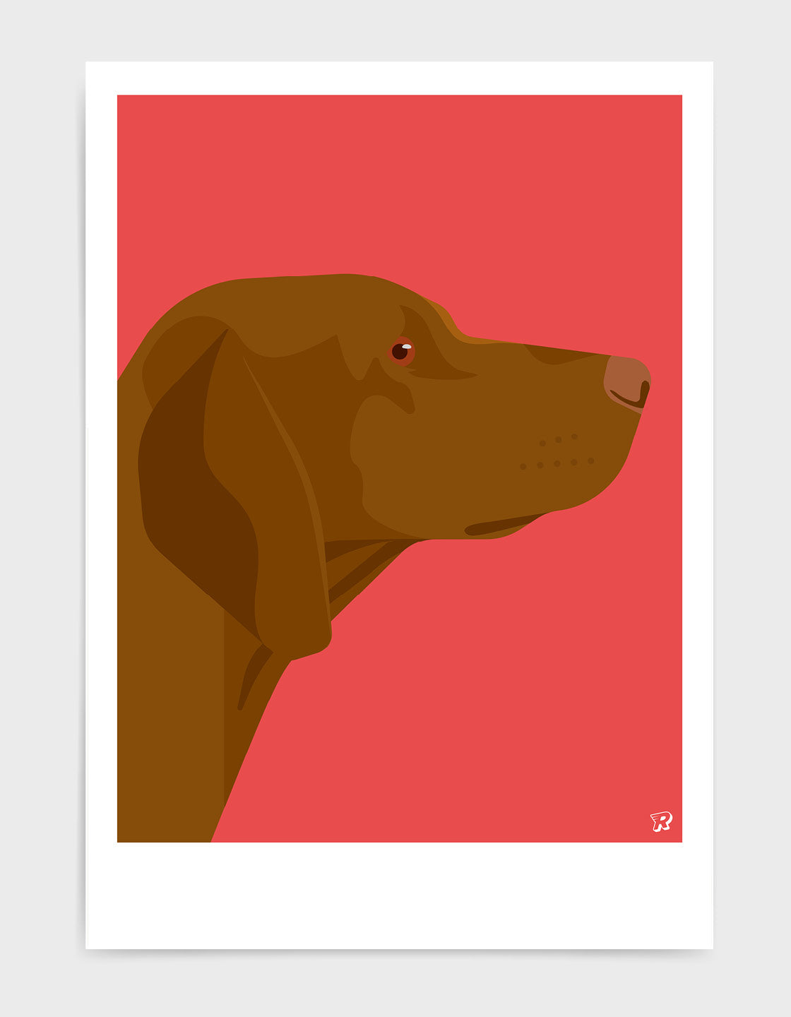 Vizsla