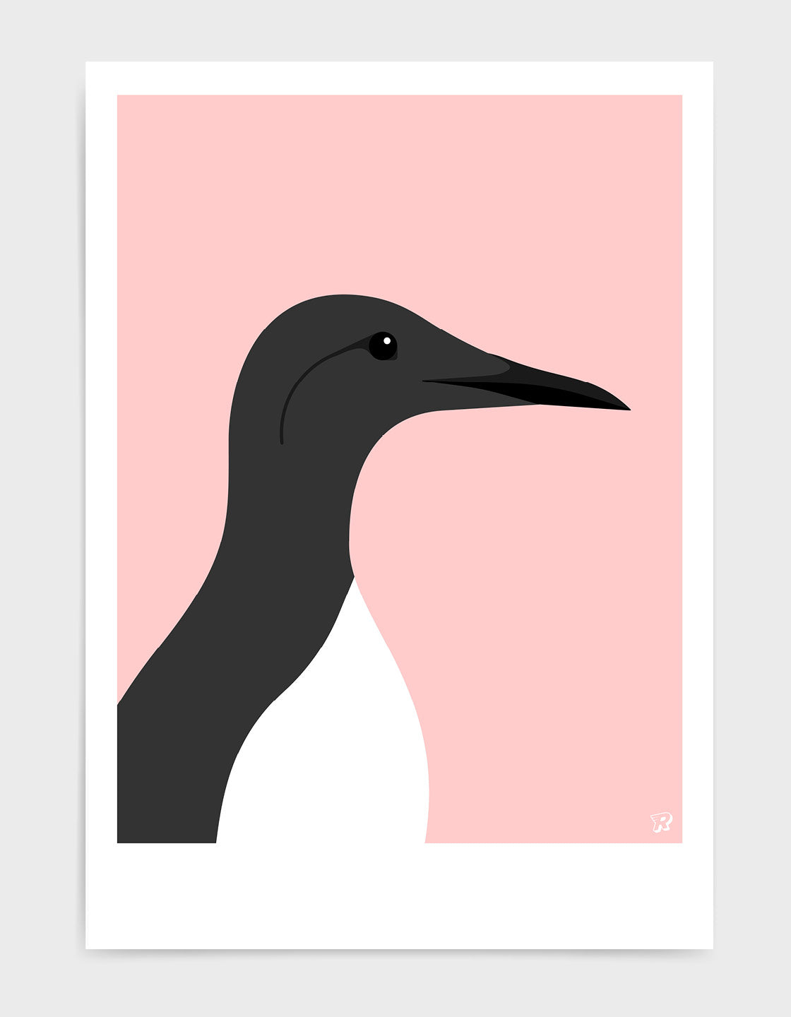 Guillemot