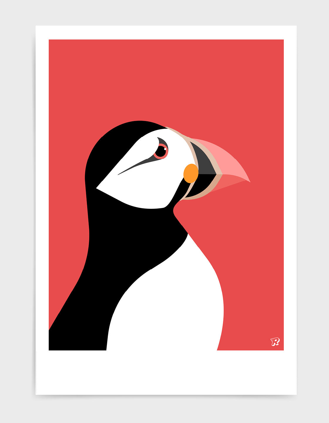 Puffin