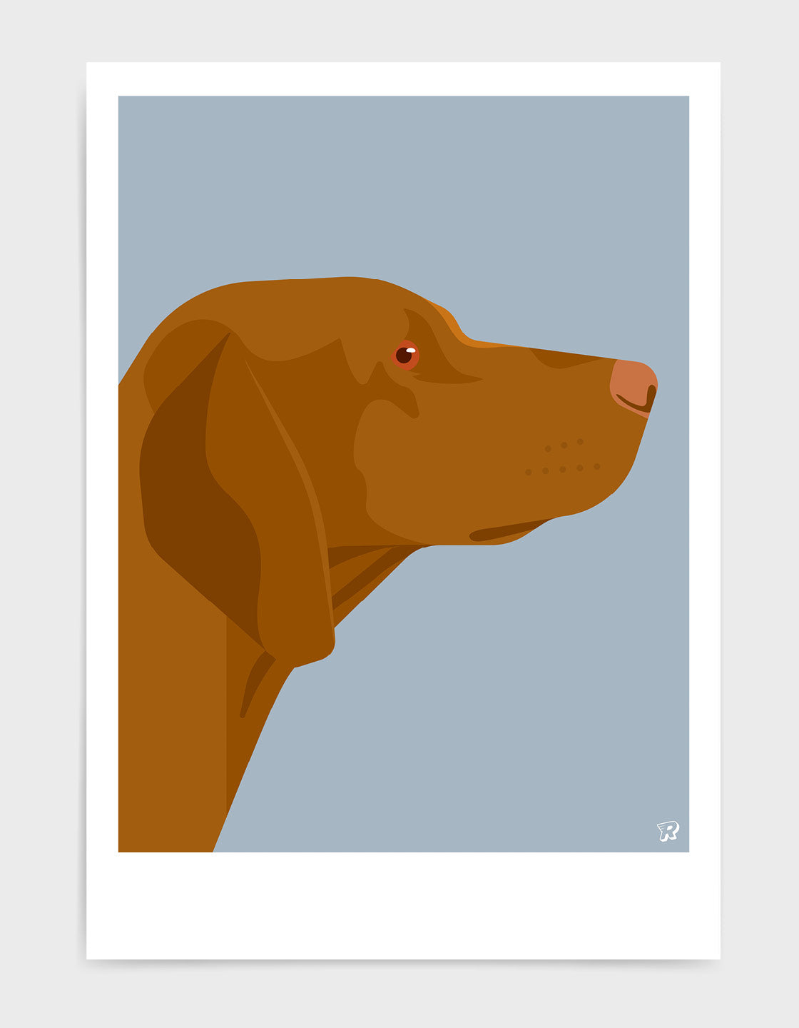 Vizsla