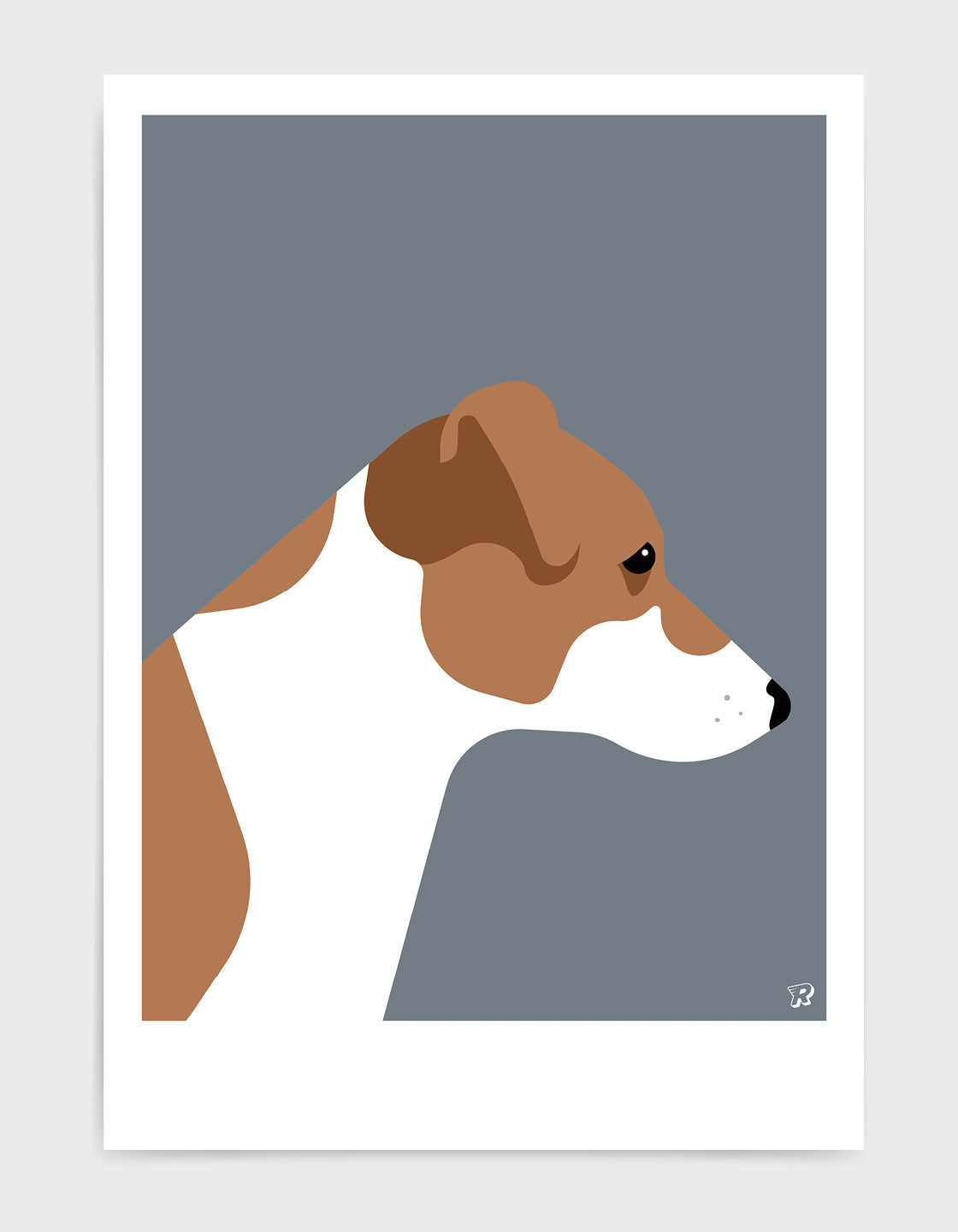 Jack russell terrier
